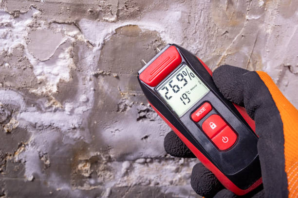 Home Mold Removal in Swedesboro, NJ